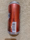 Busch Apple Light Apple Light 16oz Single Can