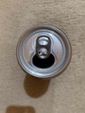 Busch Apple Light Apple Light 16oz Single Can