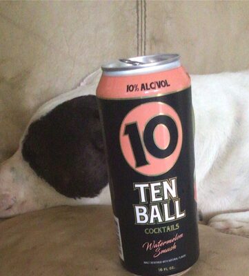 [93293] Ten Ball Grape 16oz Can Sin 